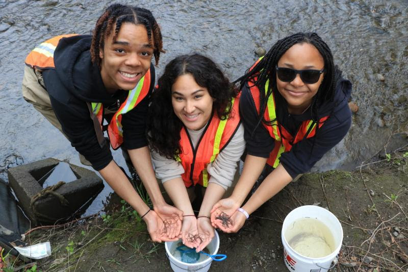 DEC Announces 18th Year of Juvenile Eel Monitoring